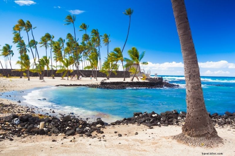 61 Must-Do Activities & Top Tours on Hawaii s Big Island