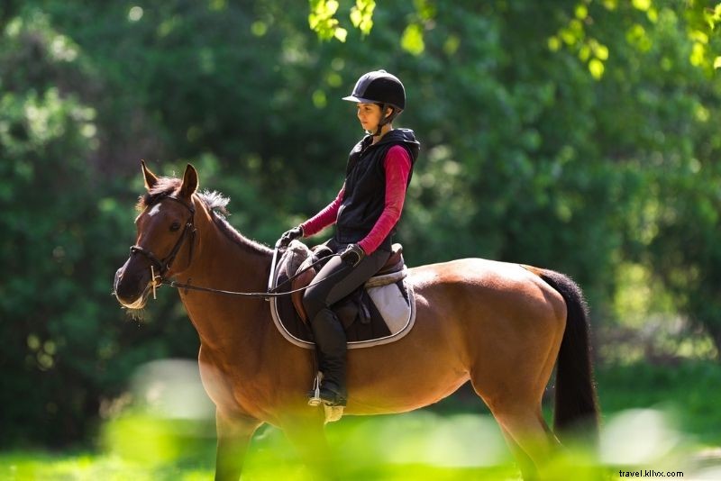 61 Must-Do Activities & Top Tours on Hawaii s Big Island