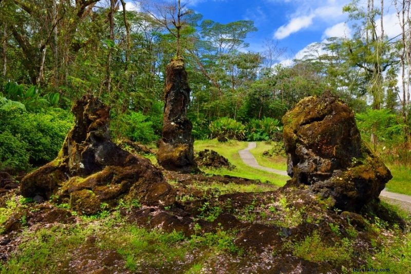 61 Must-Do Activities & Top Tours on Hawaii s Big Island