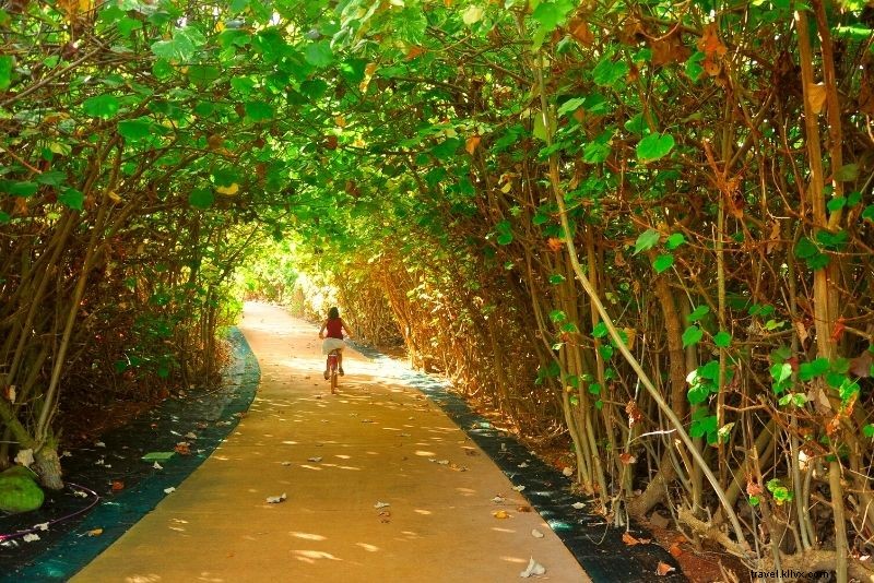 61 Must-Do Activities & Top Tours on Hawaii s Big Island