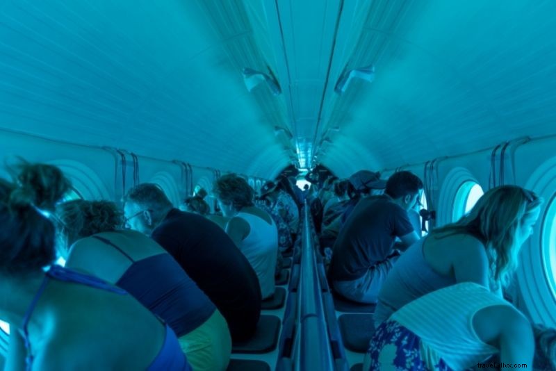 61 Must-Do Activities & Top Tours on Hawaii s Big Island