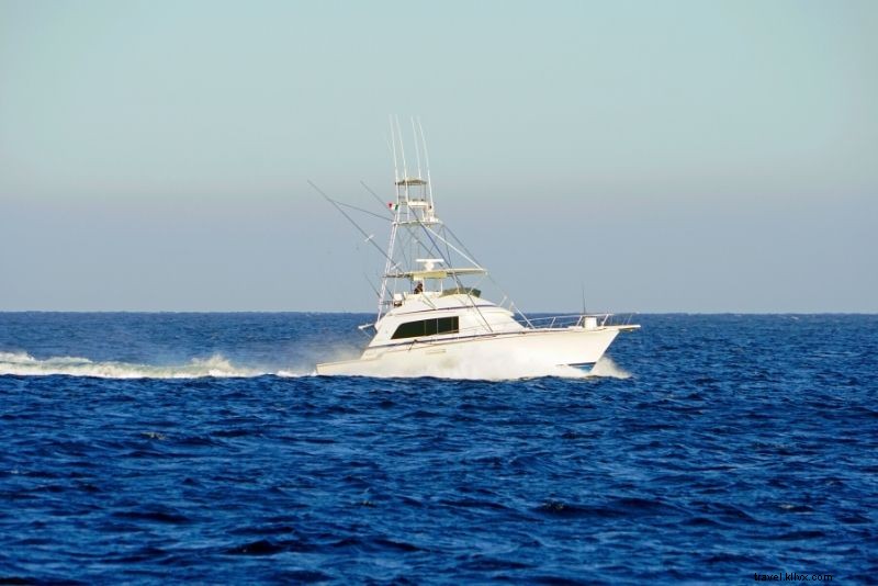 Discover 41 Epic Things to Do in Kauai, Hawaii: Top Tours & Adventures