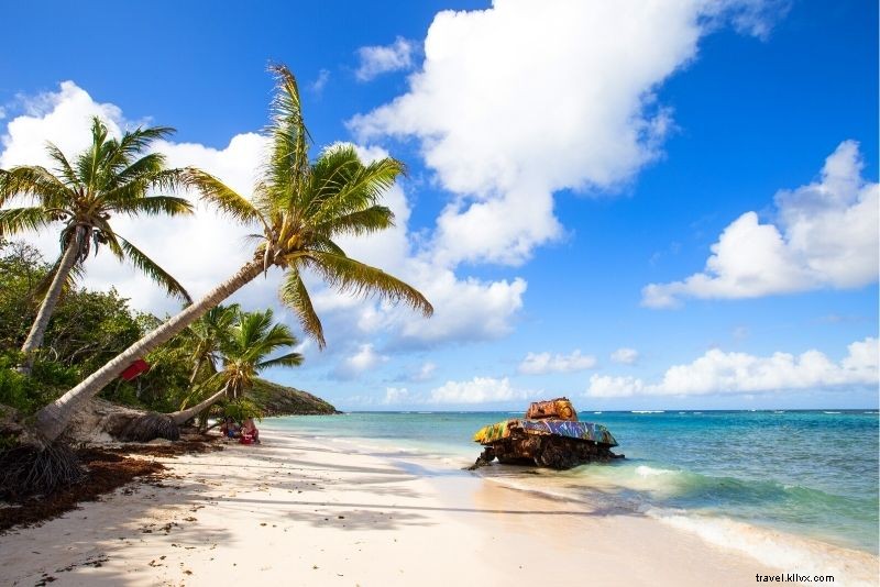 61 Must-Do Things in Puerto Rico: Ultimate Travel Guide to Beaches, Rainforests & More