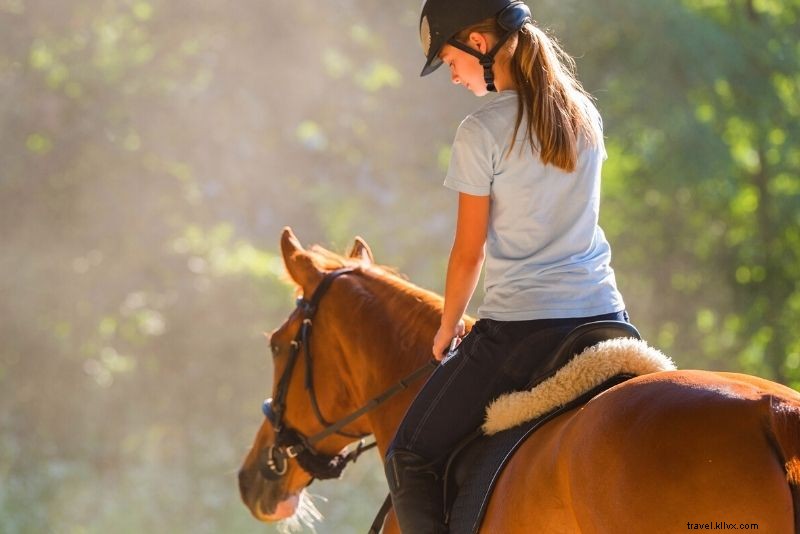 61 Must-Do Things in Puerto Rico: Ultimate Travel Guide to Beaches, Rainforests & More