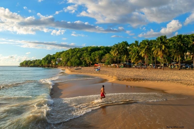61 Must-Do Things in Puerto Rico: Ultimate Travel Guide to Beaches, Rainforests & More