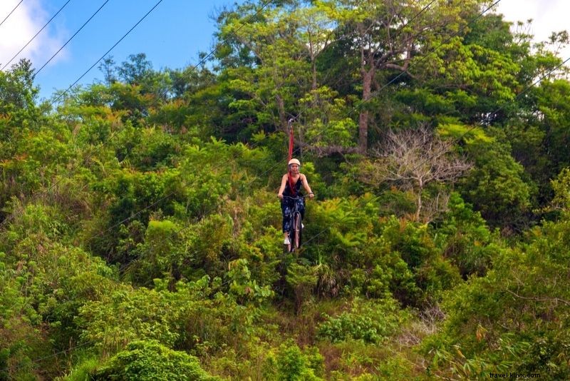 61 Must-Do Things in Puerto Rico: Ultimate Travel Guide to Beaches, Rainforests & More