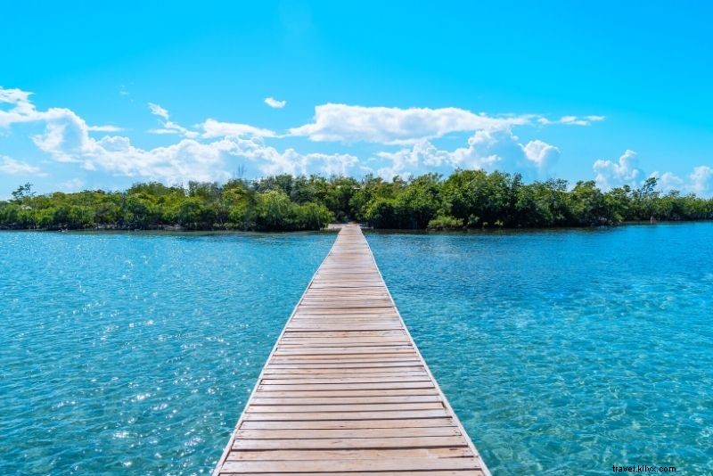 61 Must-Do Things in Puerto Rico: Ultimate Travel Guide to Beaches, Rainforests & More