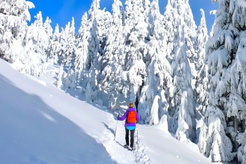 62 Must-Do Activities in Lake Tahoe: Your Ultimate Adventure Guide