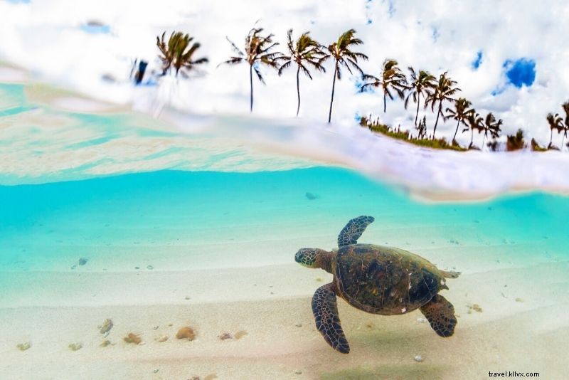 86 Fun & Unusual Things to Do in Oahu, Hawaii: Ultimate Guide
