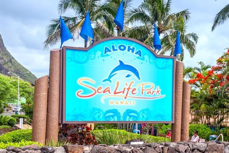 86 Fun & Unusual Things to Do in Oahu, Hawaii: Ultimate Guide