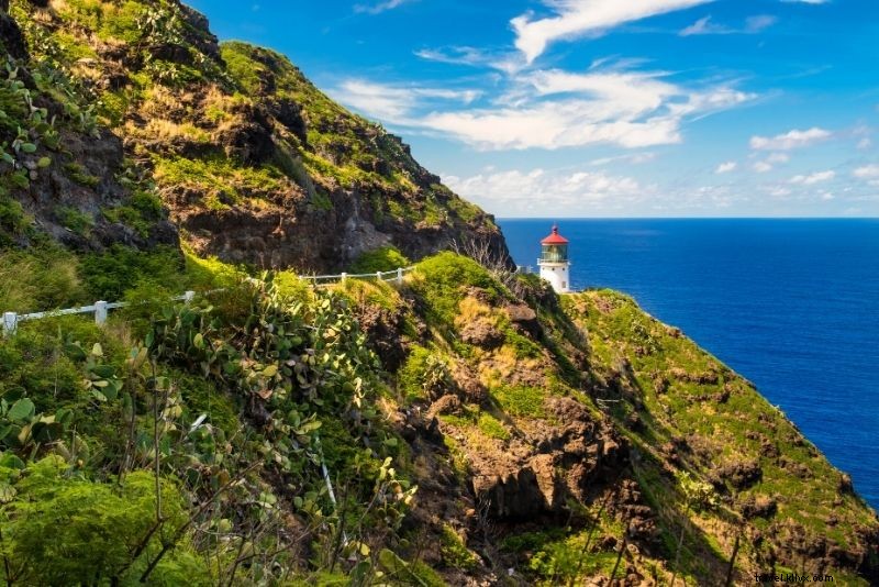 86 Fun & Unusual Things to Do in Oahu, Hawaii: Ultimate Guide