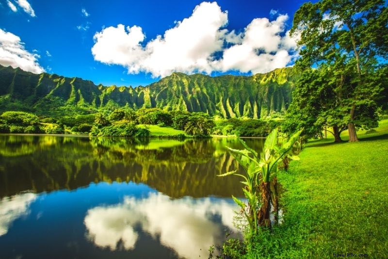 86 Fun & Unusual Things to Do in Oahu, Hawaii: Ultimate Guide