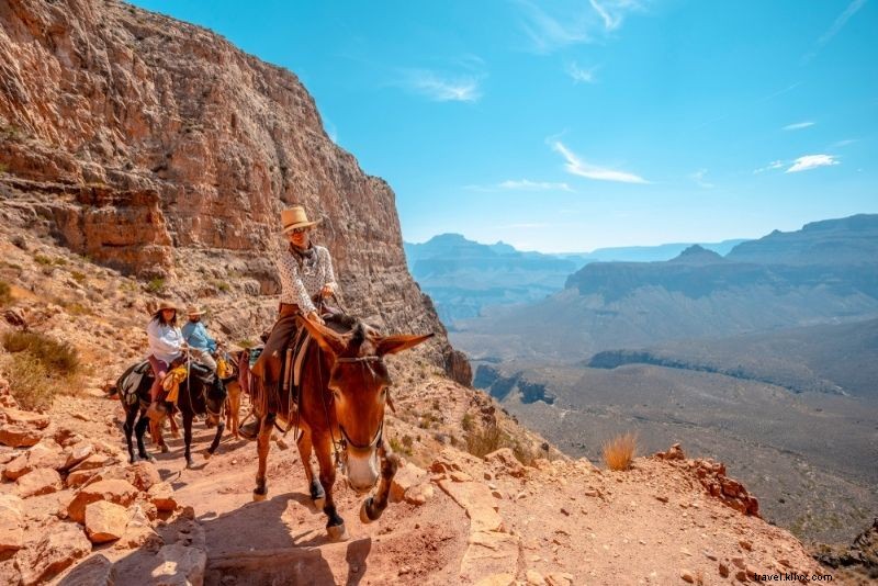 43 Must-Do Activities at the Grand Canyon: Ultimate Guide