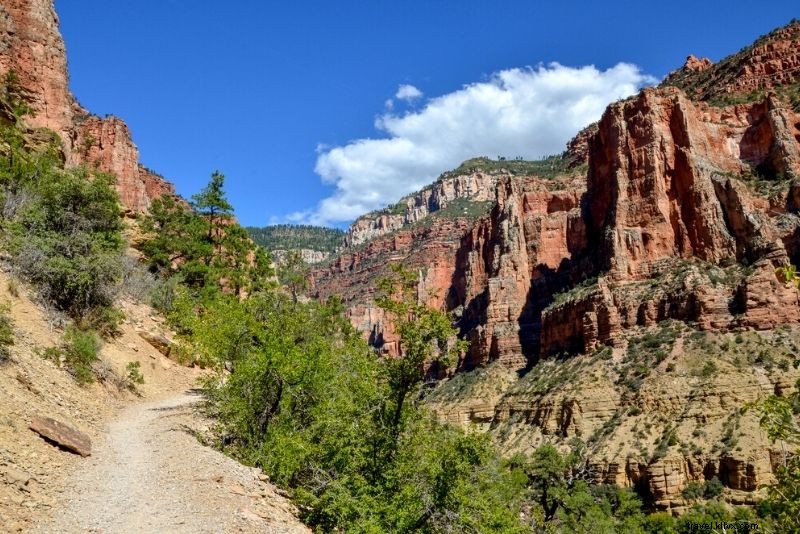 43 Must-Do Activities at the Grand Canyon: Ultimate Guide