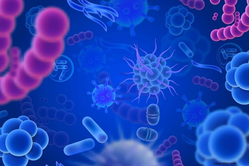 Discover 80 Fun & Unusual Things to Do in Amsterdam