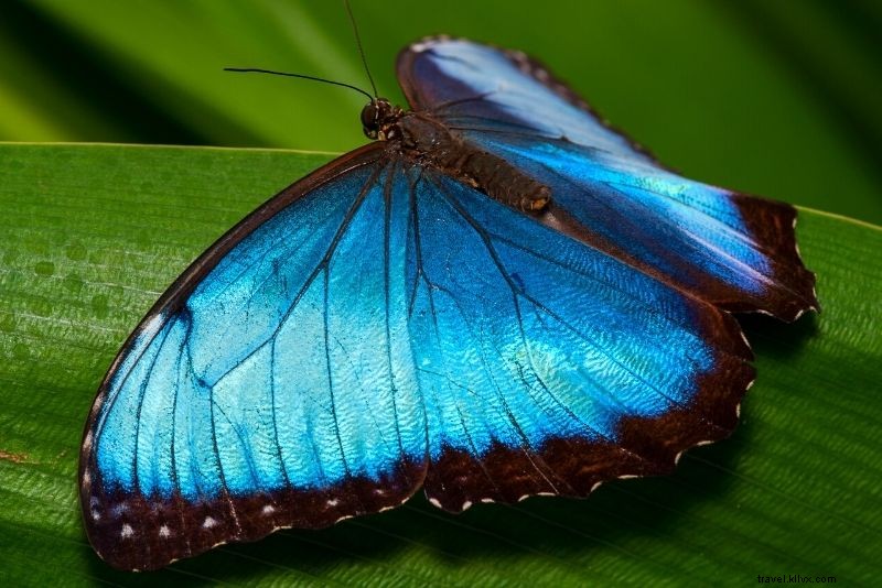 Discover 80 Fun & Unusual Things to Do in Amsterdam