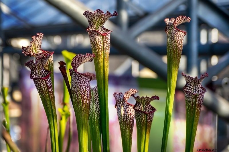 Discover 80 Fun & Unusual Things to Do in Amsterdam