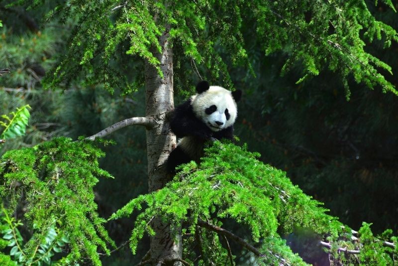 63 Best Things to Do in Madrid, Spain: Ultimate Travel Guide