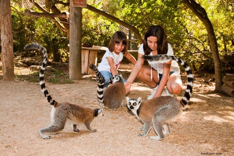 26 Best Things to Do in Menorca: Beaches, History & Hidden Gems