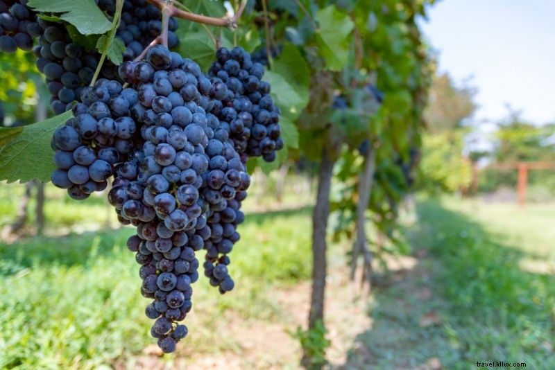 38 Must-Do Things to Do in Mykonos: Ultimate Guide to Beaches, Nightlife & More