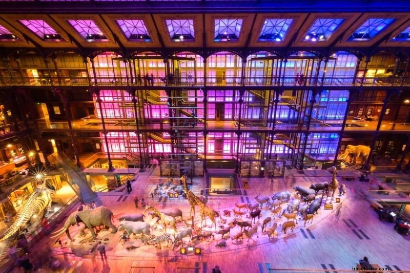 Discover 100 Fun & Unusual Things to Do in Paris, France