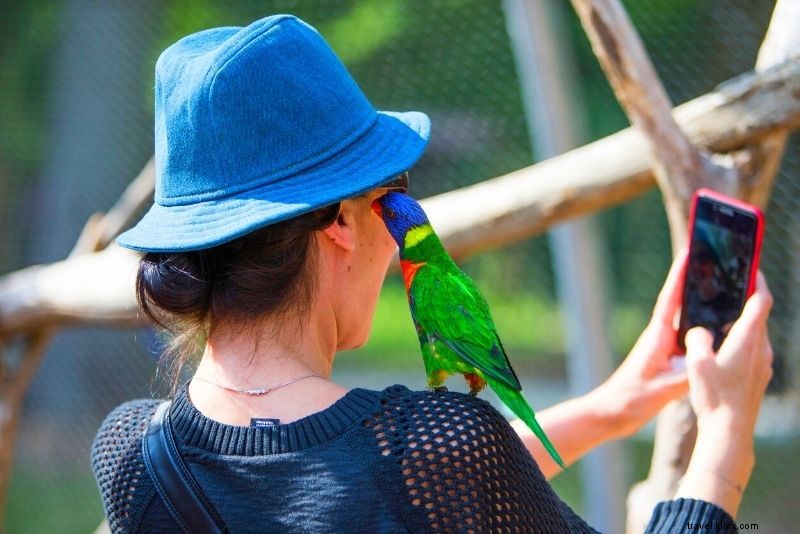 Discover 100 Fun & Unusual Things to Do in Paris, France