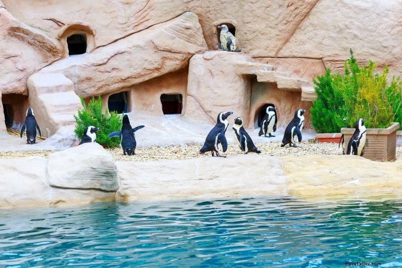 Discover 76 Fun & Unusual Things to Do in Rome, Italy