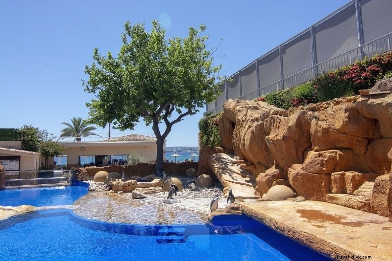 Discover 50 Best Things to Do in Mallorca: Beaches, Mountains & Hidden Gems