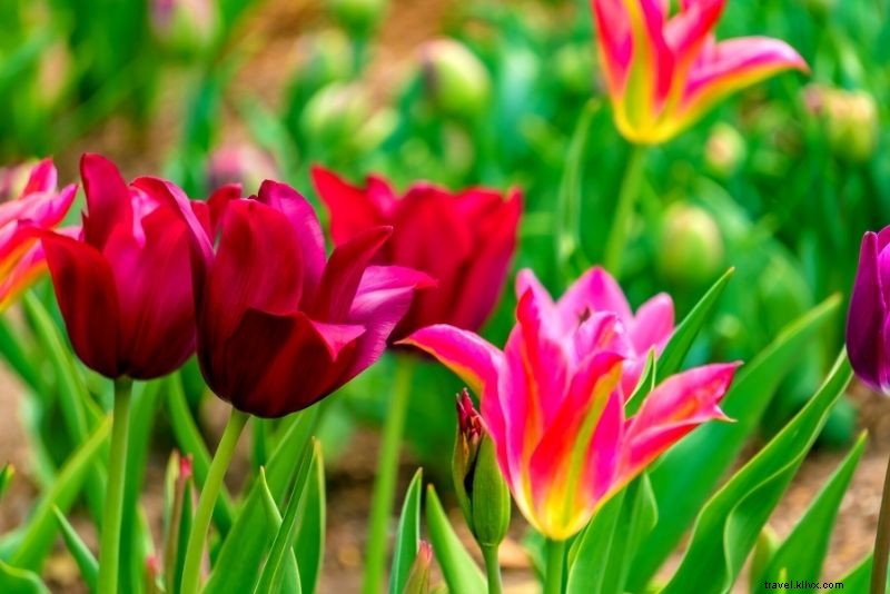 Discover 62 Fun & Unusual Things to Do in Nashville, TN