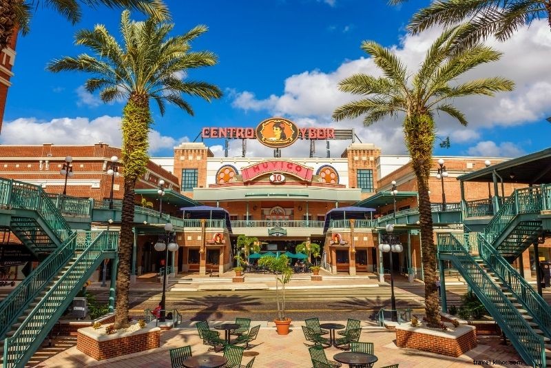 60 Exciting Things to Do in Tampa, Florida: Beaches, Nightlife & Theme Parks