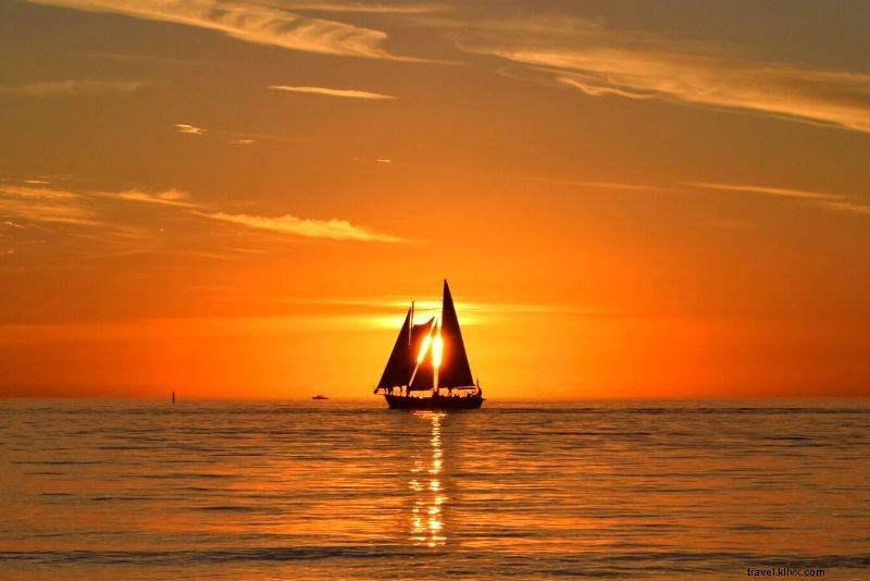 60 Exciting Things to Do in Tampa, Florida: Beaches, Nightlife & Theme Parks