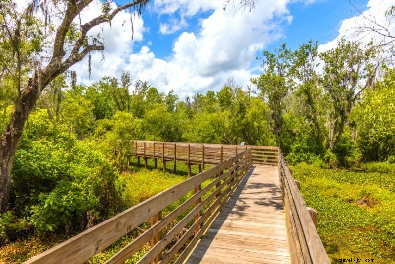 60 Exciting Things to Do in Tampa, Florida: Beaches, Nightlife & Theme Parks