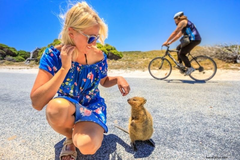 Discover 46 Top Things to Do in Perth, Australia: Beaches, Sun & Culture