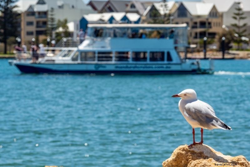 Discover 46 Top Things to Do in Perth, Australia: Beaches, Sun & Culture