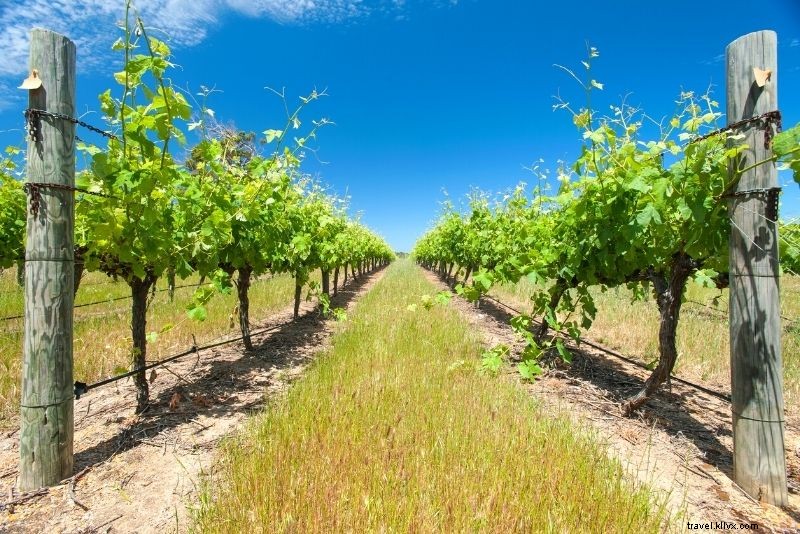 Discover 46 Top Things to Do in Perth, Australia: Beaches, Sun & Culture