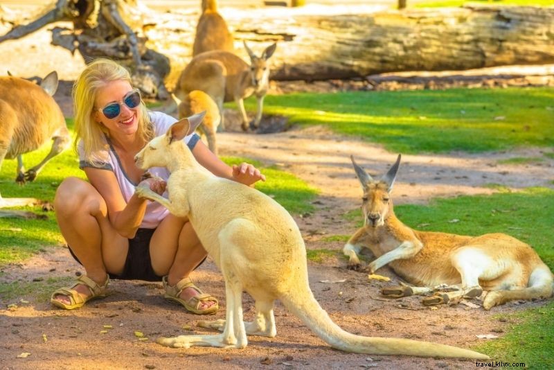 Discover 46 Top Things to Do in Perth, Australia: Beaches, Sun & Culture