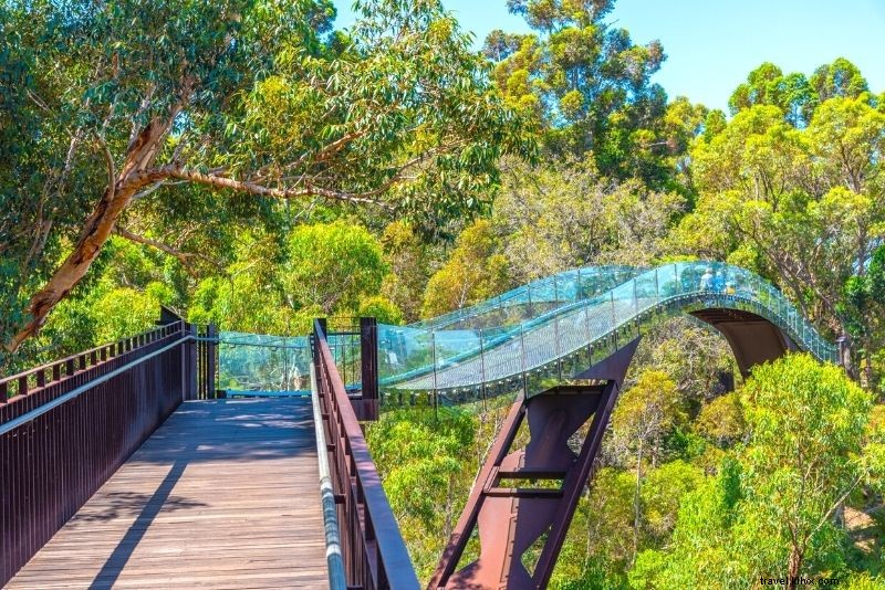 Discover 46 Top Things to Do in Perth, Australia: Beaches, Sun & Culture