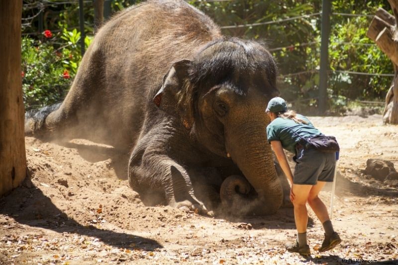 Discover 46 Top Things to Do in Perth, Australia: Beaches, Sun & Culture