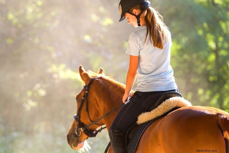 Discover 46 Top Things to Do in Perth, Australia: Beaches, Sun & Culture