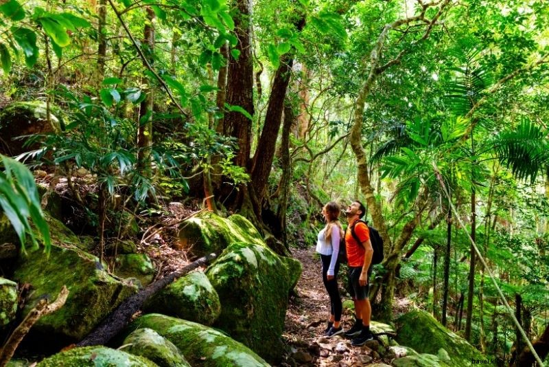 66 Must-Do Activities on Australia s Gold Coast: Beaches, Adventure & Nightlife