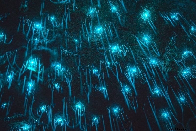 66 Must-Do Activities on Australia s Gold Coast: Beaches, Adventure & Nightlife