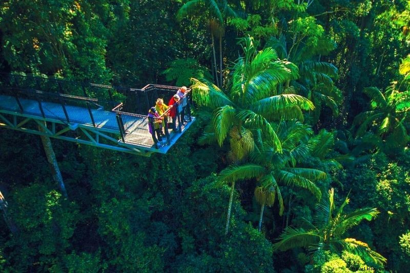 66 Must-Do Activities on Australia s Gold Coast: Beaches, Adventure & Nightlife