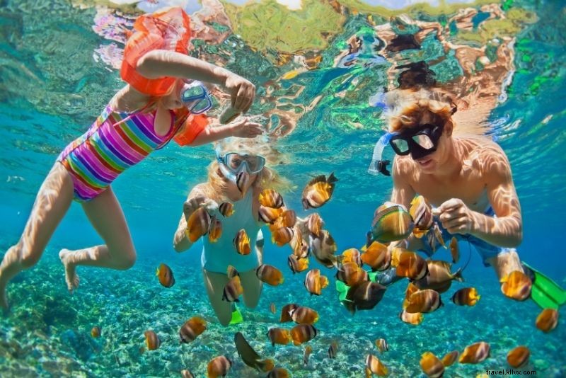 66 Must-Do Activities on Australia s Gold Coast: Beaches, Adventure & Nightlife