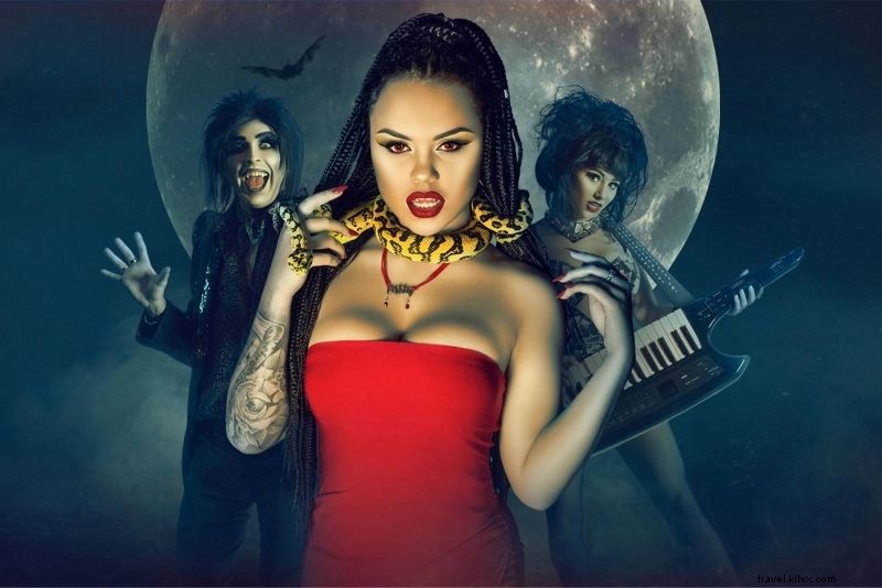 66 Must-Do Activities on Australia s Gold Coast: Beaches, Adventure & Nightlife