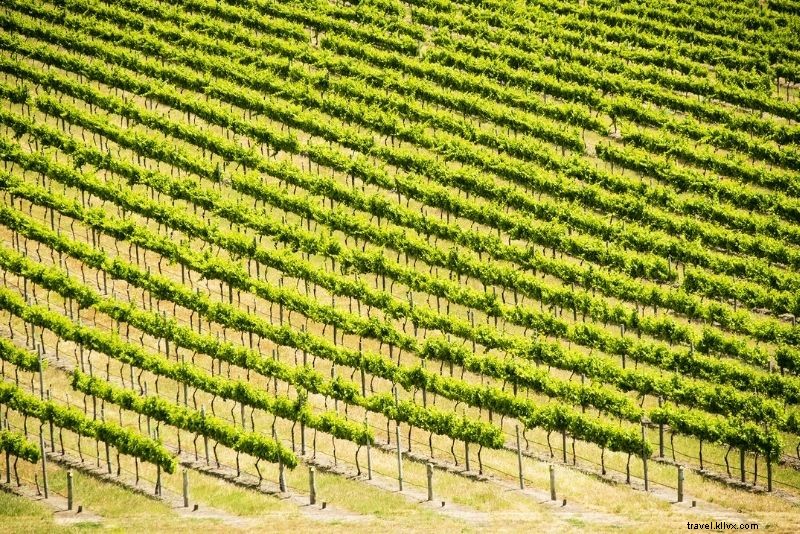 66 Must-Do Activities on Australia s Gold Coast: Beaches, Adventure & Nightlife