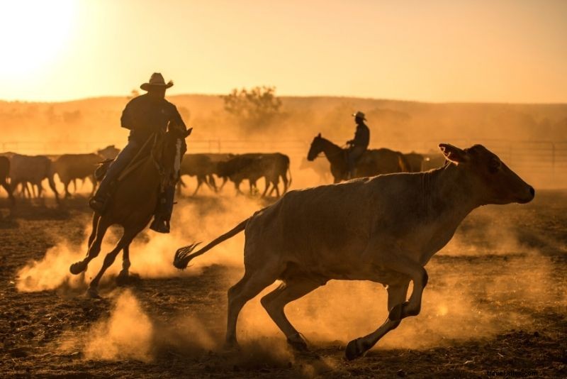 66 Must-Do Activities on Australia s Gold Coast: Beaches, Adventure & Nightlife