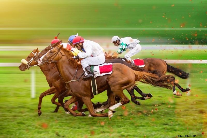 66 Must-Do Activities on Australia s Gold Coast: Beaches, Adventure & Nightlife