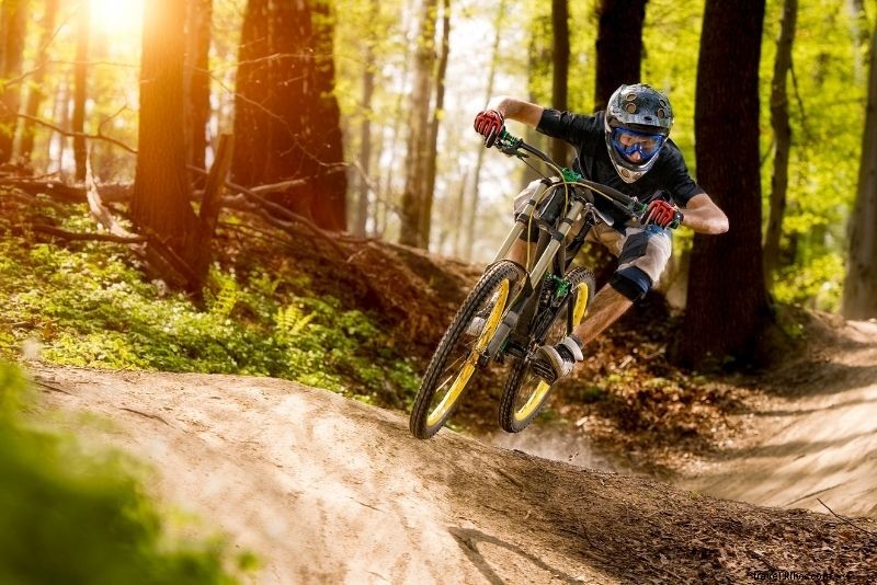 66 Must-Do Activities on Australia s Gold Coast: Beaches, Adventure & Nightlife