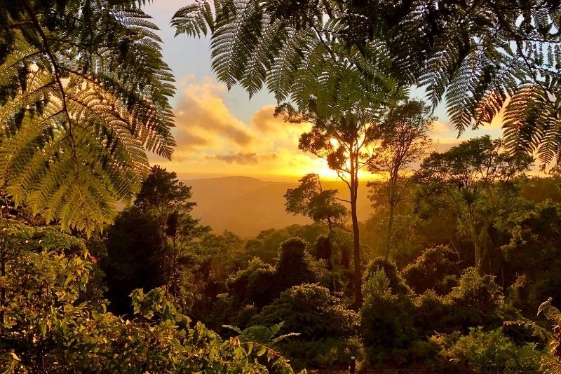 66 Must-Do Activities on Australia s Gold Coast: Beaches, Adventure & Nightlife