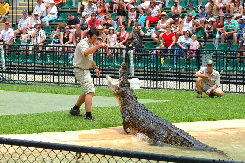 Discover 63 Unmissable Things to Do in Brisbane, Australia